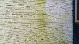 外壁のコケカビの画像